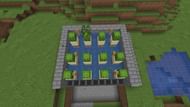 Growing cacti is so satisfying (Image via Minecraft)
